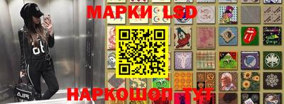 бошки Ставрополь
