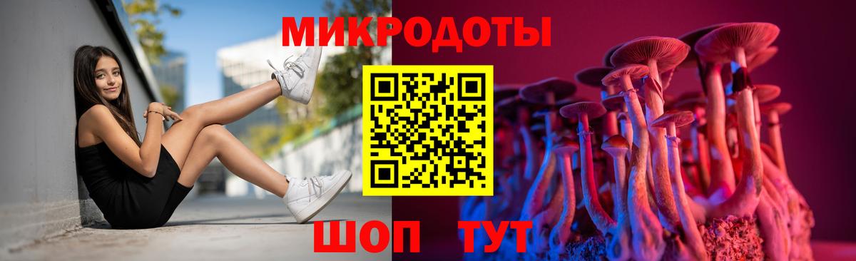 Псилоцибиновые грибы Psilocybe Нефтекумск